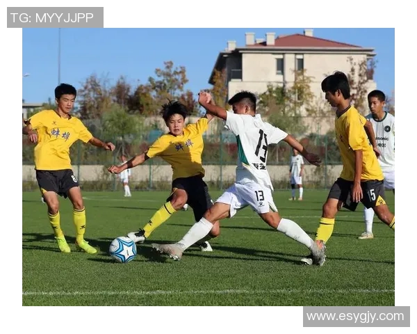 激情四溢的足球世界杯盛宴揭幕各国球队争夺荣耀的热血之战即将开启