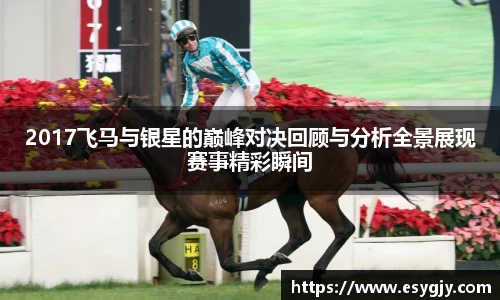 2017飞马与银星的巅峰对决回顾与分析全景展现赛事精彩瞬间