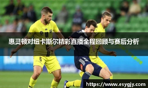 雷火电竞平台