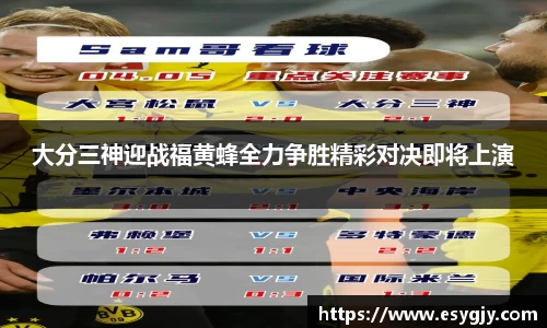 大分三神迎战福黄蜂全力争胜精彩对决即将上演